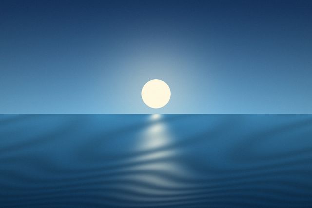 Ocean collection cover